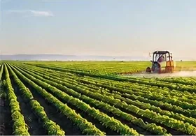 Farm